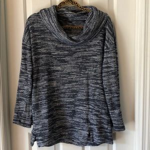 Blue and white turtleneck sweater.  Tunic length